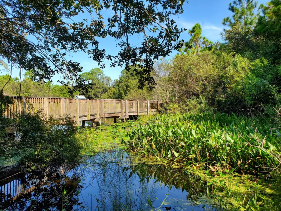 Scenic wooden boardwalk overlooking the lake and wetlands at Eagle Lake Park in Largo, Florida, featuring native landscaping, peaceful nature views, and outdoor walking trails in Pinellas County.