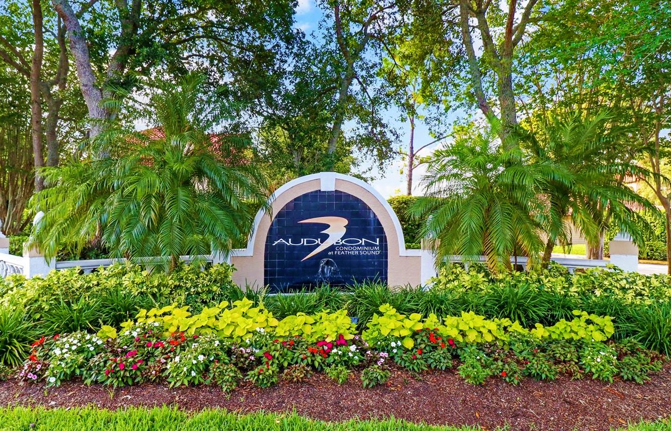 Homes for Sale in Audubon at Feather Sound Stephen Scherpf